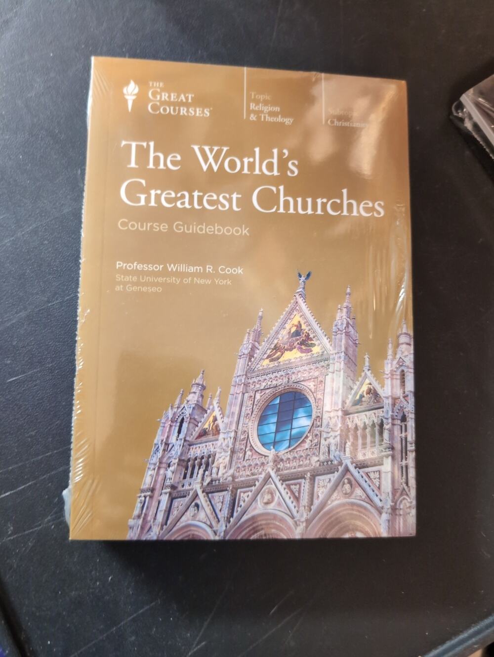 World's Greatest Churches by William R. Cook (2014, DVD) New